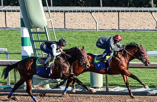 Screenshot 2025-02-25 at 12.12.05 PM